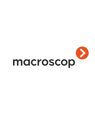 Расширение с LS до ST. Программное обеспечение (опция). MACROSCOP в Батайске
